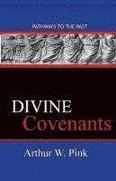 bokomslag Divine Covenants