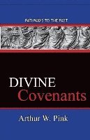 bokomslag Divine Covenants: Pathways To The Past