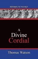 bokomslag A Divine Cordial
