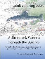 Dave Campbell - Adirondack Waters: Beneath the Surface, Häftad