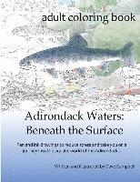 bokomslag Adirondack Waters: Beneath the Surface