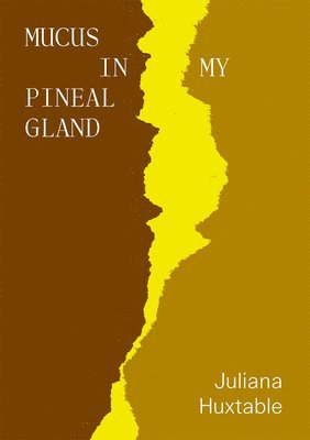 Juliana Huxtable - Mucus in My Pineal Gland, Häftad