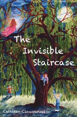 bokomslag The Invisible Staircase