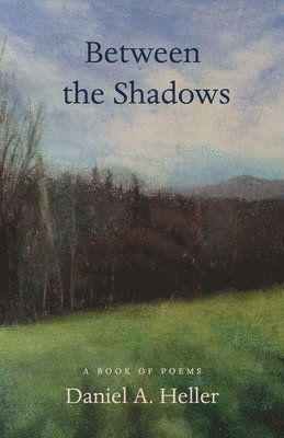 bokomslag Between the Shadows: A Book of Poems