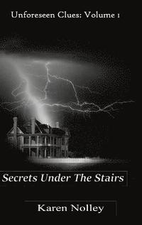 bokomslag Secrets Under the Stairs