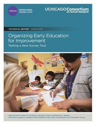 bokomslag Organizing Early Education for Improvement: Testing a New Survey Tool