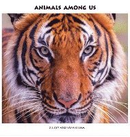 Animals Among Us 1