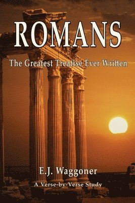 bokomslag Romans