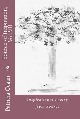 bokomslag Source of Inspiration, Vol. VII: Inspirational Poetry from Source