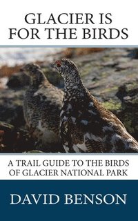 bokomslag Glacier is for the Birds: A Trail Guide to the Birds of Glacier National Park