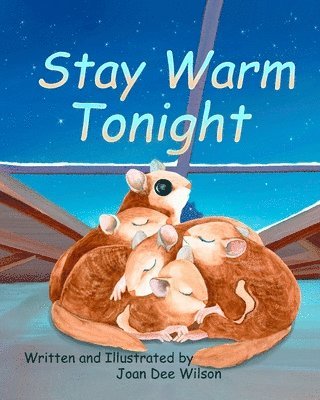 bokomslag Stay Warm Tonight