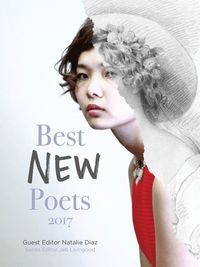 bokomslag Best New Poets 2017