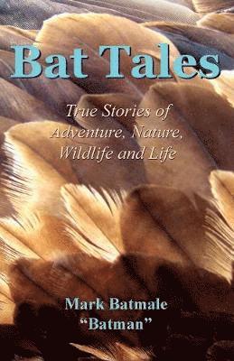 bokomslag Bat Tales