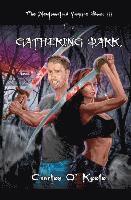 bokomslag The Newfoundland Vampire Book III: The Gathering Dark