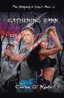 The Newfoundland Vampire Book III: The Gathering Dark