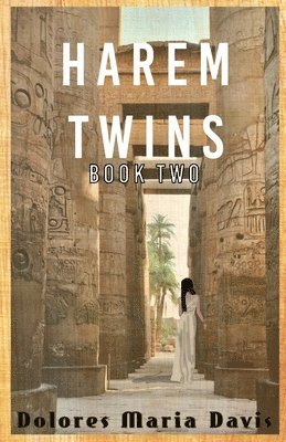 Harem Twins Book Two 1