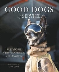 bokomslag Good Dogs of Service