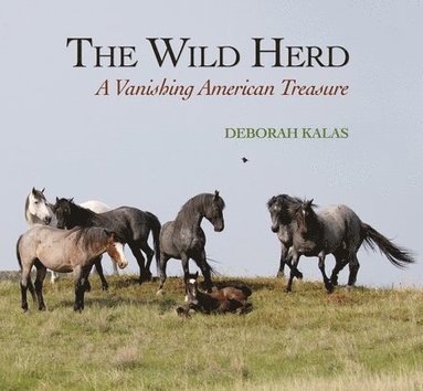 Deborah Kalas - The Wild Herd: A Vanishing American Treasure, Inbunden