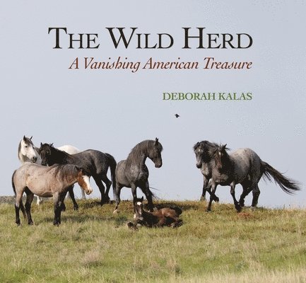 The Wild Herd: A Vanishing American Treasure 1