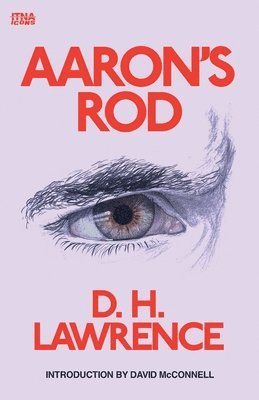 bokomslag Aaron's Rod