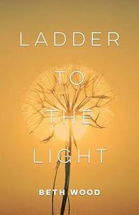 bokomslag Ladder to the Light