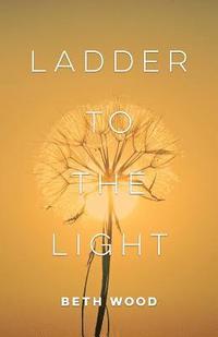 bokomslag Ladder to the Light