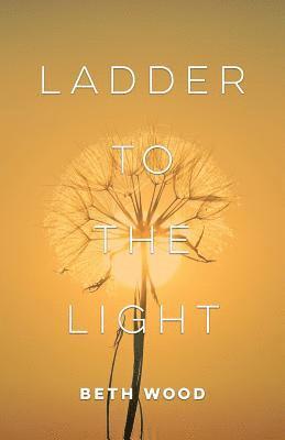 Beth Wood - Ladder to the Light, Häftad