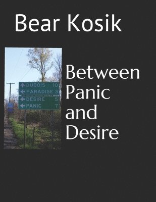 Between Panic and Desire 1