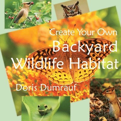 Create Your Own Backyard Wildlife Habitat 1