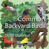 bokomslag Common Backyard Birds