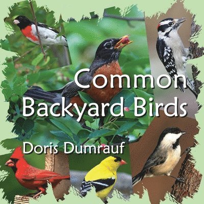 Common Backyard Birds 1