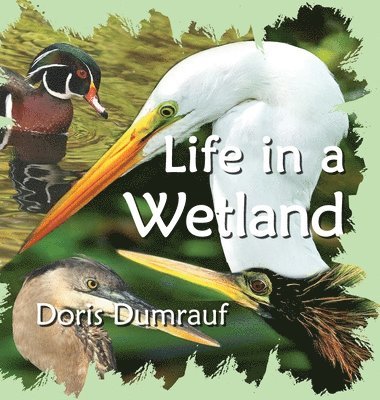 Doris Dumrauf - Life In A Wetland, Inbunden