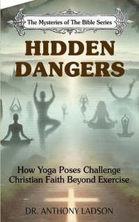 bokomslag Hidden Dangers