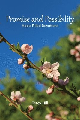 Promise and Possibility