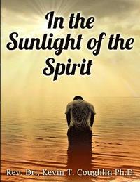 bokomslag In the Sunlight of the Spirit: A Spirituality Training Manual and Workbook