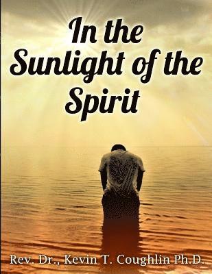 Dr Kevin T. Coughlin - In the Sunlight of the Spirit: A Spirituality Training Manual and Workbook, Häftad