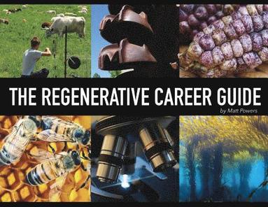 bokomslag Regenerative Career Guide