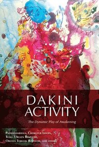 bokomslag Dakini Activity