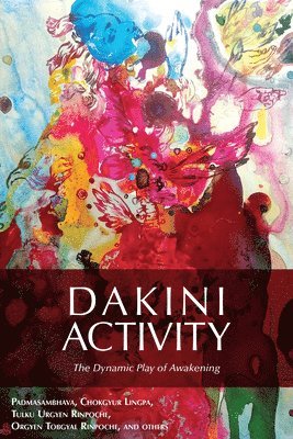 bokomslag Dakini Activity