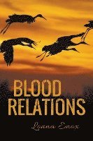 bokomslag Blood Relations