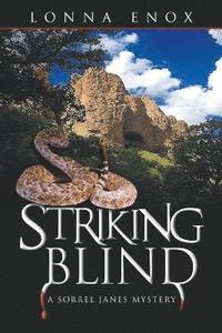 bokomslag Striking Blind