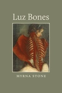 bokomslag Luz Bones