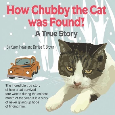 How Chubby the Cat was Found! 1