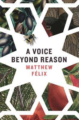 A Voice Beyond Reason 1