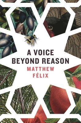 bokomslag A Voice Beyond Reason: A Coming of Age Novel about Intuition