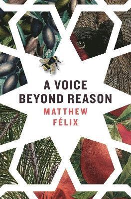 bokomslag Voice Beyond Reason