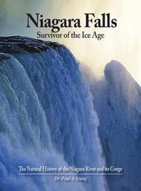 bokomslag Niagara Falls: Survivor of the Ice Age: The Natural History of the Niagara River and its Gorge