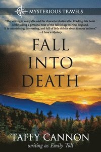 bokomslag Fall Into Death