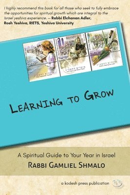 bokomslag Learning to Grow