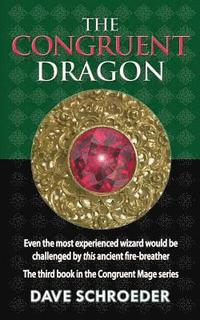 bokomslag The Congruent Dragon